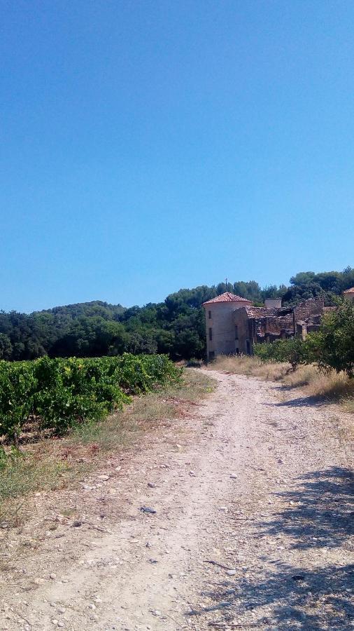 Bed and Breakfast Les Cigales Villelaure Екстер'єр фото