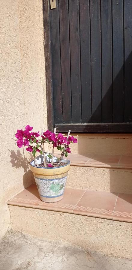 Bed and Breakfast Les Cigales Villelaure Екстер'єр фото