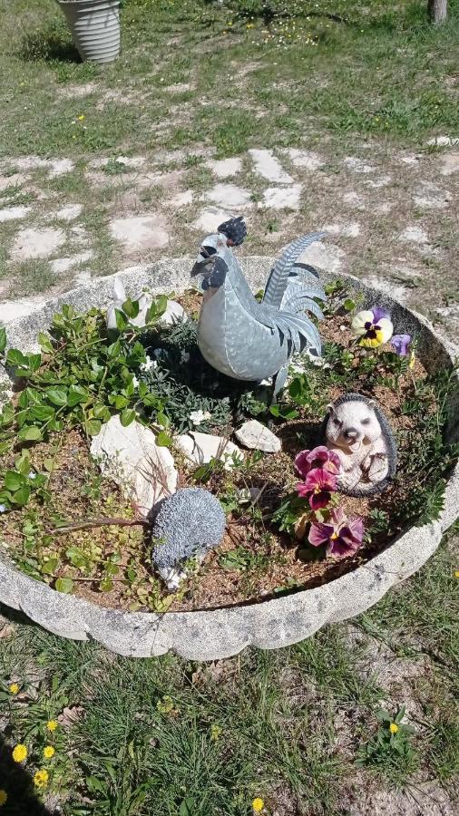 Bed and Breakfast Les Cigales Villelaure Екстер'єр фото